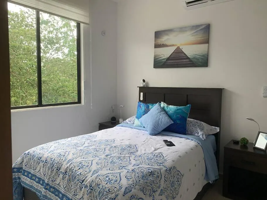 Casa Nah Ha' Con Jacuzzi, Jardin Y Alberca Villa Playa del Carmen 0*,